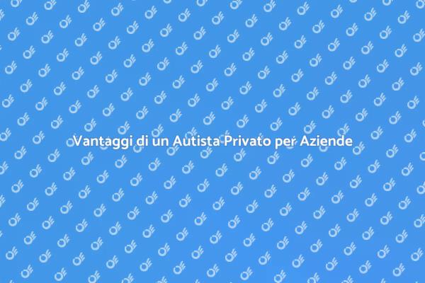 Perché Scegliere un Autista Privato?
