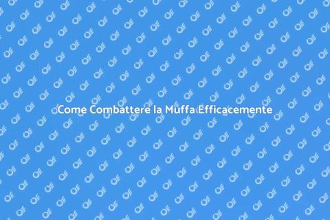 Rimozione e Prevenzione della Muffa