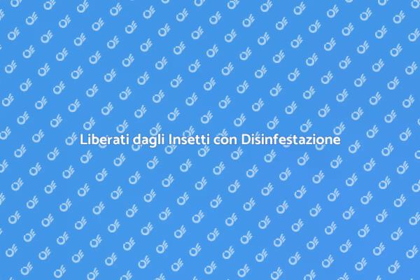 Trattamento Disinfestazione per la Casa