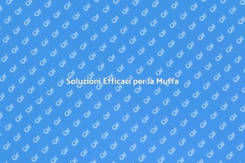 Rimozione e Prevenzione della Muffa