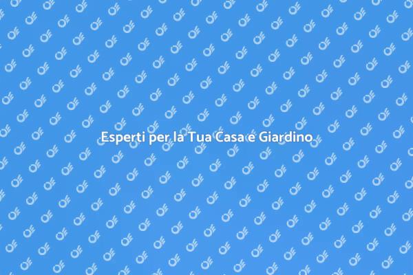 Professionisti: La Chiave per il Tuo Progetto