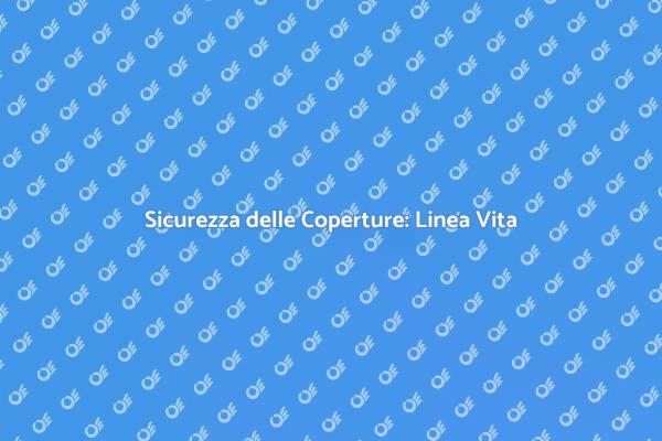 Proteggi i Lavoratori con la Linea Vita