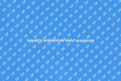 Valutazione impatto ambientale spargisale