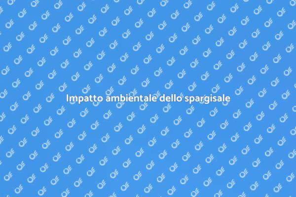 Sostenibilità e spargisale in inverno