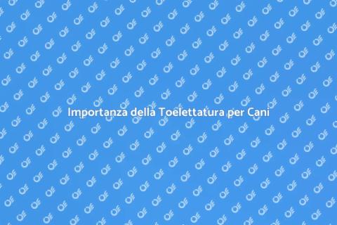 Toelettatura Cani per Spettacoli