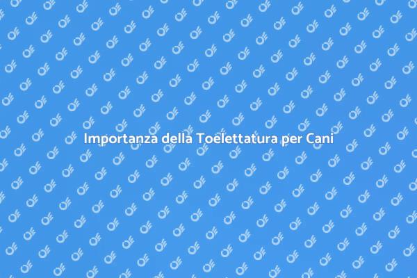 Scopri la Toelettatura per Cani da Teatro