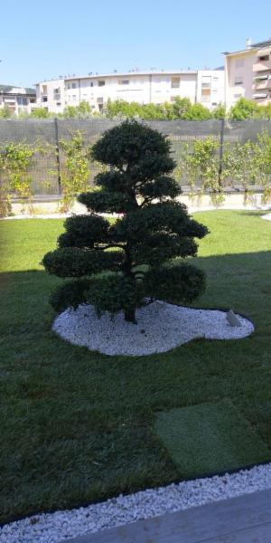 Master Giardini snc - Foto 8