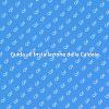 Installazione Caldaia a Muro: Ecco Come