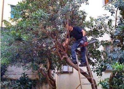 Soc. Coop. Cinque Poli Servizi  - Foto 3
