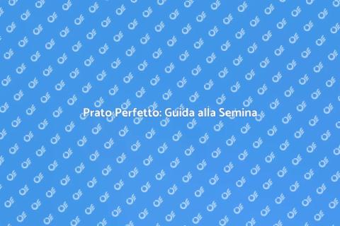 Seminare il Prato: Il Tuo Giardino Verde