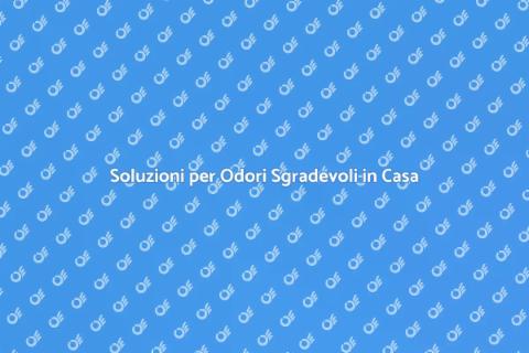 Eliminare i Cattivi Odori in Casa
