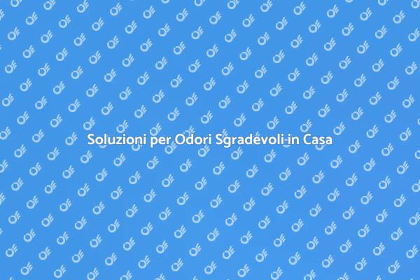 Liberati dai Cattivi Odori in Casa