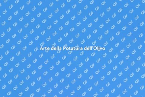 Potatura Olivo: Tradizione e Innovazione