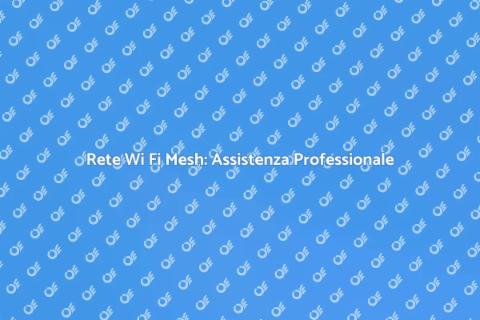 Assistenza Wi Fi Mesh: Connettività Perfetta