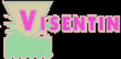 Visentin Srl Spurgo e Bonifiche  - Foto 1