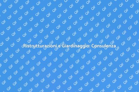 Consulenza Esperta per i Tuoi Progetti
