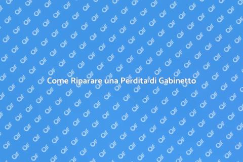 Riparare una Perdita di Gabinetto