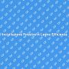 Finestre in Legno per Casa Efficiente