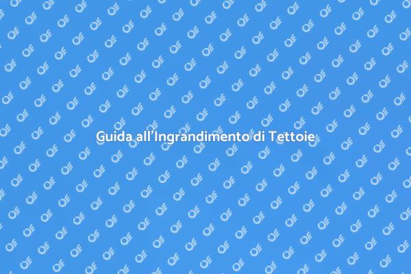 Come Ingrandire una Tettoia in Legno