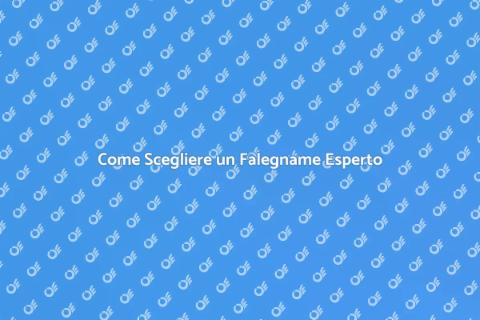 Trova il Falegname Giusto per Te
