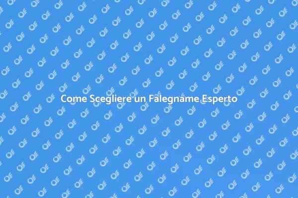 Scegli il Falegname Perfetto per Te