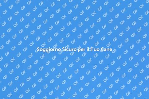 Pensione per Cani: Scelta Sicura