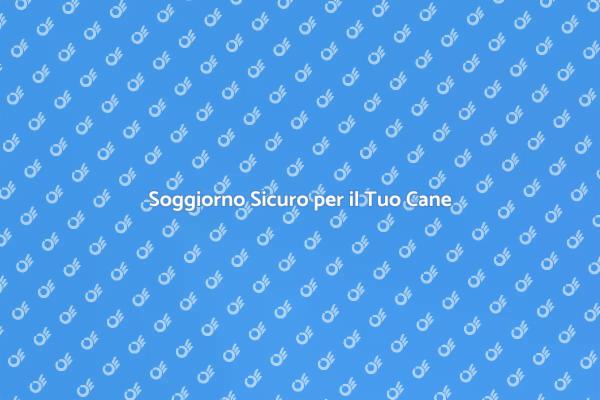 Pensione per Cani: Guida alla Scelta