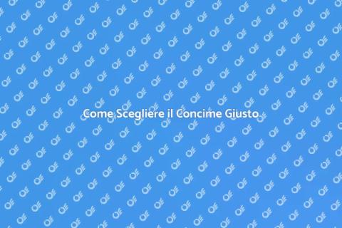 Acquistare il Concime per il Giardino