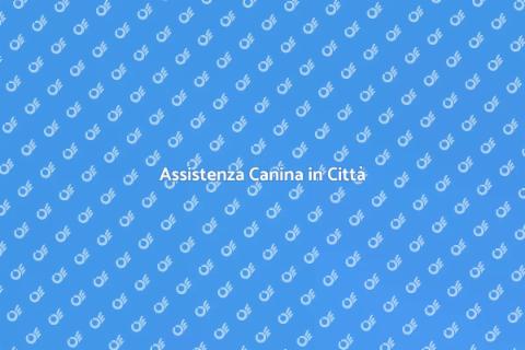 Dog Sitting in Appartamenti di Città