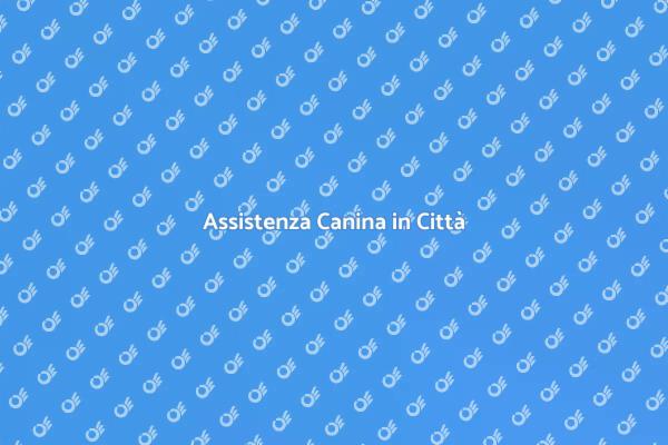 Il Benessere del Tuo Cane in Città