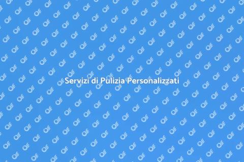Ditta di Pulizie Professionale