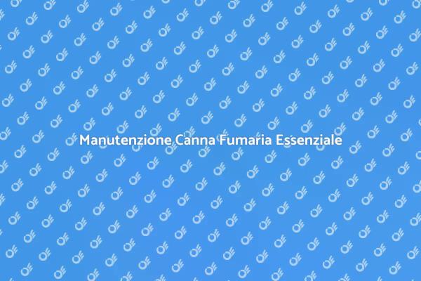 Sicurezza e Comfort: Canna Fumaria