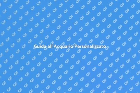 Installazione Acquario Personalizzato