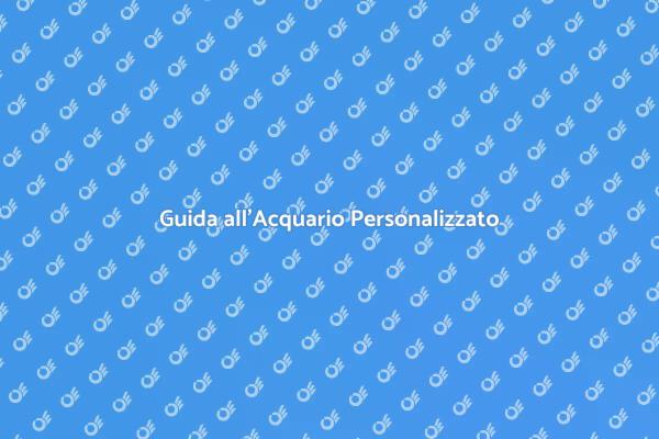 Installare il Tuo Acquario Ideale
