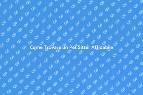 Pet Sitter Esperto: Guida alla Scelta