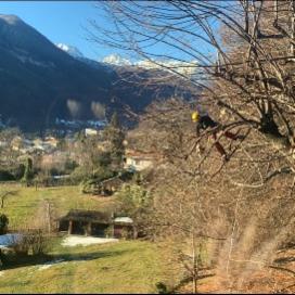 Sherwood TreeWorker - Foto 6