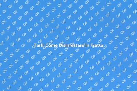 Disinfestazione Tarli Veloce e Sicura