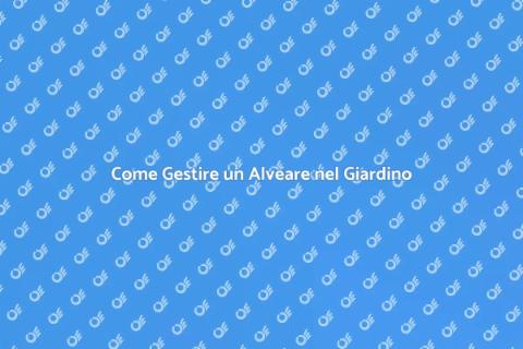Rimuovere o Ricollocare un Alveare