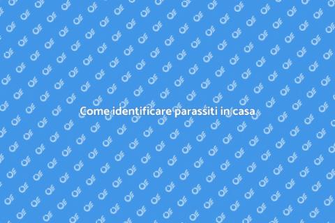 Valutare la casa per parassiti