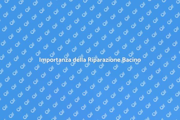 Bacino di Cattura: Riparazione Necessaria