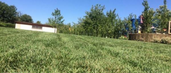 Ciccone Produttori di Prato a Rotoli  - Foto 1