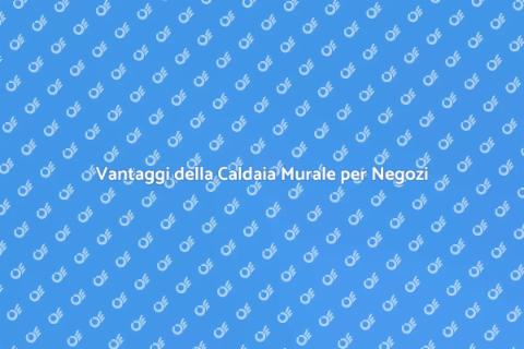 Caldaia Murale per il Tuo Negozio
