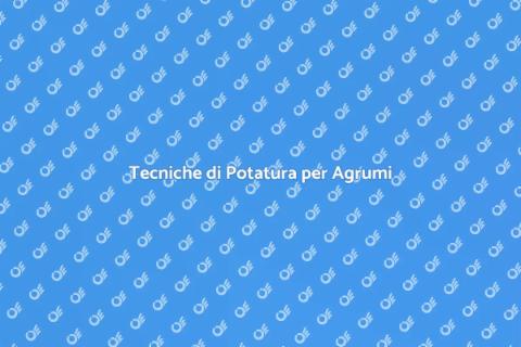 Potatura per Agrumi: Guida Pratica