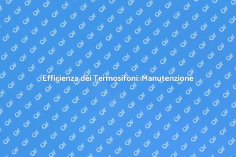 Manutenzione Programmata dei Termosifoni
