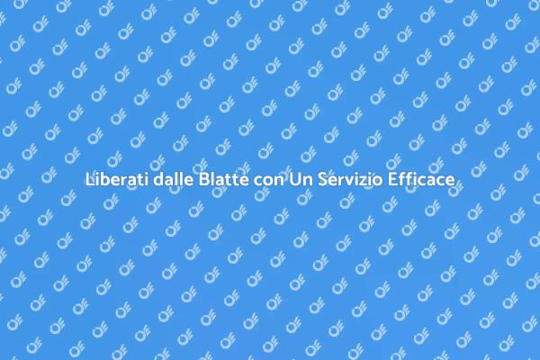 Combatti le Blatte con Esperti di Disinfestazione