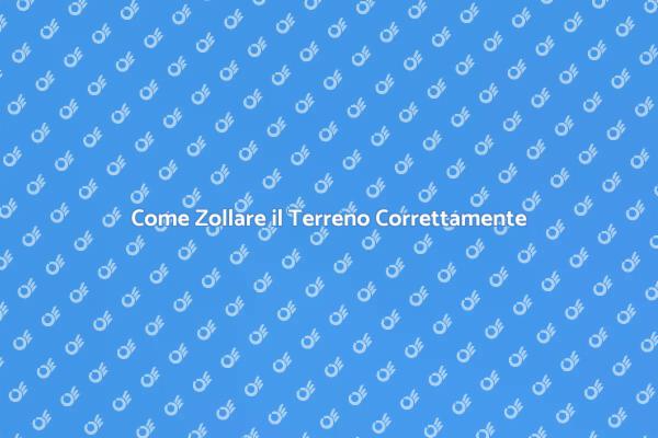 Tecniche per una Corretta Zollatura