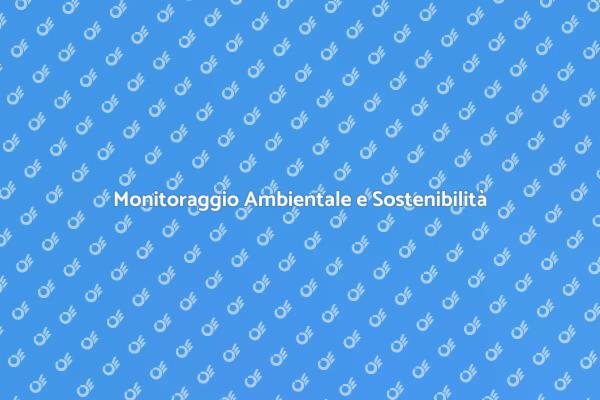 Monitoraggio della Qualità Ambientale
