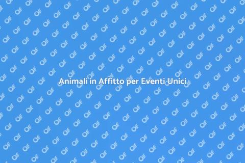 Affitto Animali per Occasioni Speciali