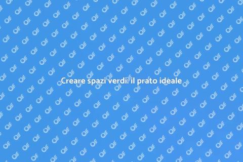 Semina del prato: migliora l'ambiente