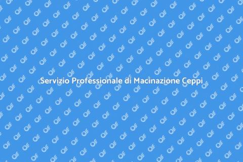 Macinazione Ceppi per Giardini Perfetti